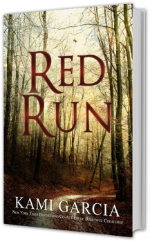 Bookcover: Red Run